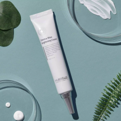 Derma Max Brilliance Cream(3)